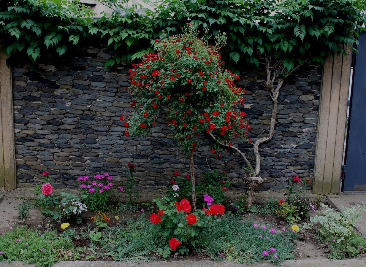 Green Guest House Kutaisi Exterior photo
